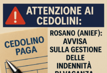 Attenzione ai Cedolini: Rosano (Anief) Avvisa sulla Gestione delle Indennità di Vacanza Contrattuale Stipendio, Rosano (Anief): “Controllare con attenzione i prossimi cedolini per verificare corretta gestione indennità di vacanza contrattuale”