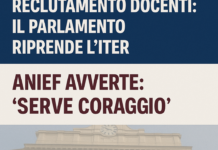 Reclutamento Docenti: Il Parlamento Riprende l’Iter. ANIEF Avverte: ‘Serve Coraggio’ – Speciale Live! Doppio canale reclutamento docenti, riprende iter in Parlamento. ANIEF: "La supplentite si combatte solo con scelte coraggiose". SPECIALE con Pacifico. LIVE Giovedì 30 luglio alle 15:30